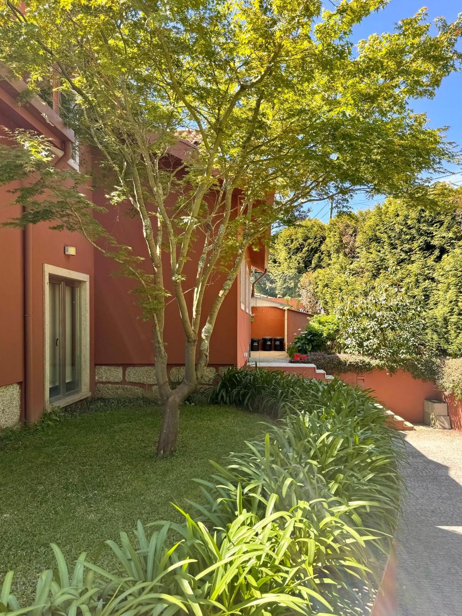 Countryside Villa Near Porto Paredes  Εξωτερικό φωτογραφία